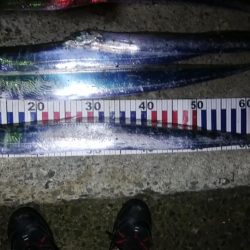 スローなテンヤ釣り